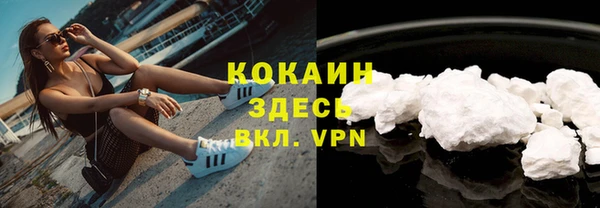 прущие крисы Дмитриев