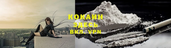 каннабис Дмитров