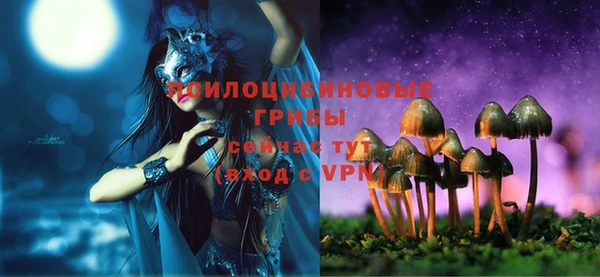 каннабис Дмитров