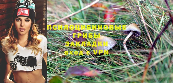 прущие крисы Дмитриев