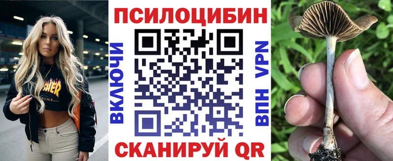 Купить где  Ростов  Галлюциногенные грибы MAGIC MUSHROOMS 